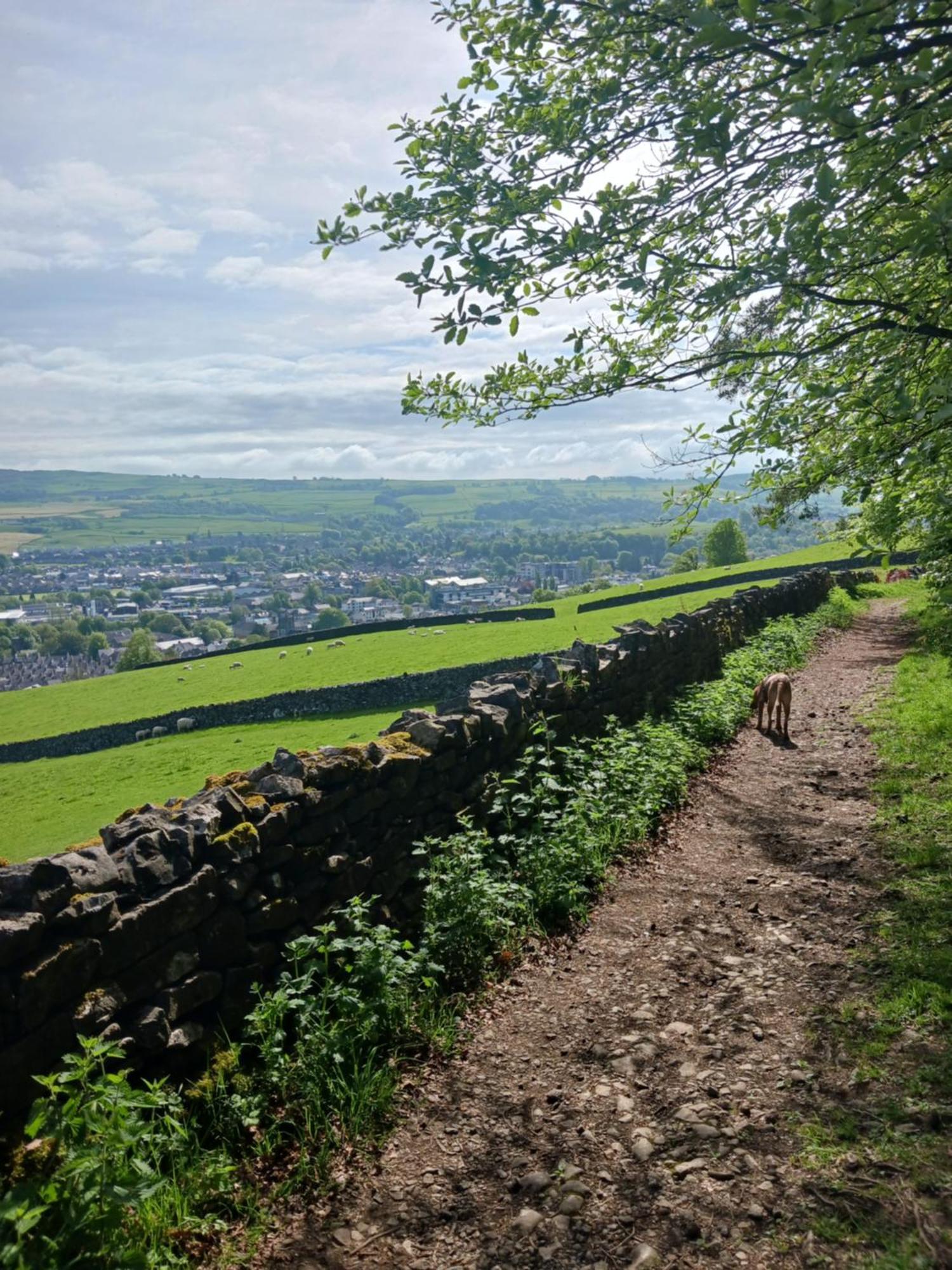 Arthurs Cottage -Charming Courtyard Cottage In The Heart Of Kendal, The Lake District ภายนอก รูปภาพ