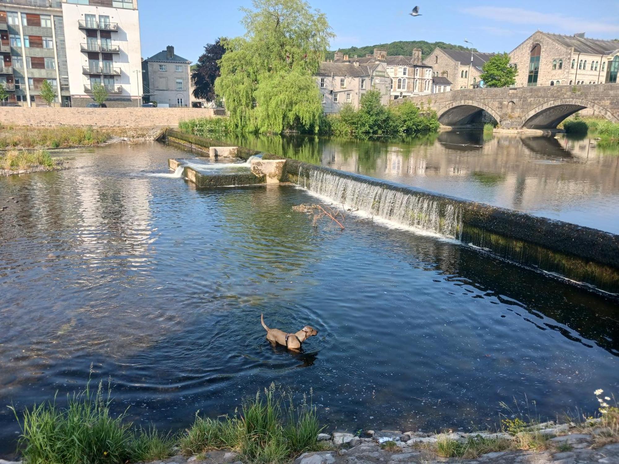 Arthurs Cottage -Charming Courtyard Cottage In The Heart Of Kendal, The Lake District ภายนอก รูปภาพ